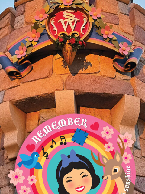 illustration shannon laskey